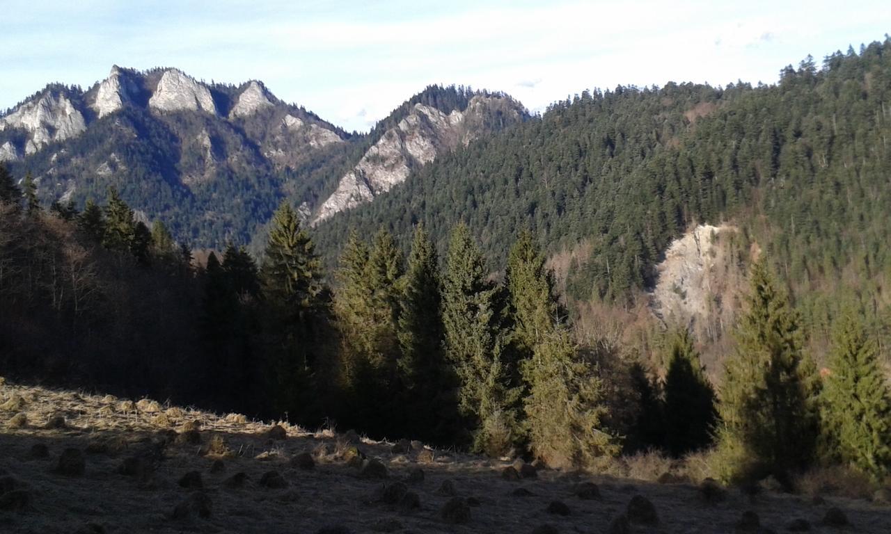 Ubytovanie Sokolica Červený Kláštor Esterno foto