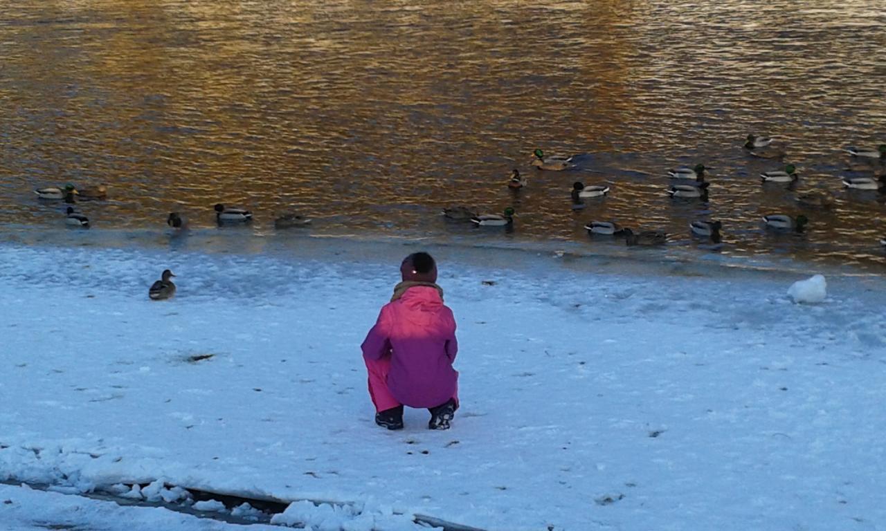 Ubytovanie Sokolica Červený Kláštor Esterno foto