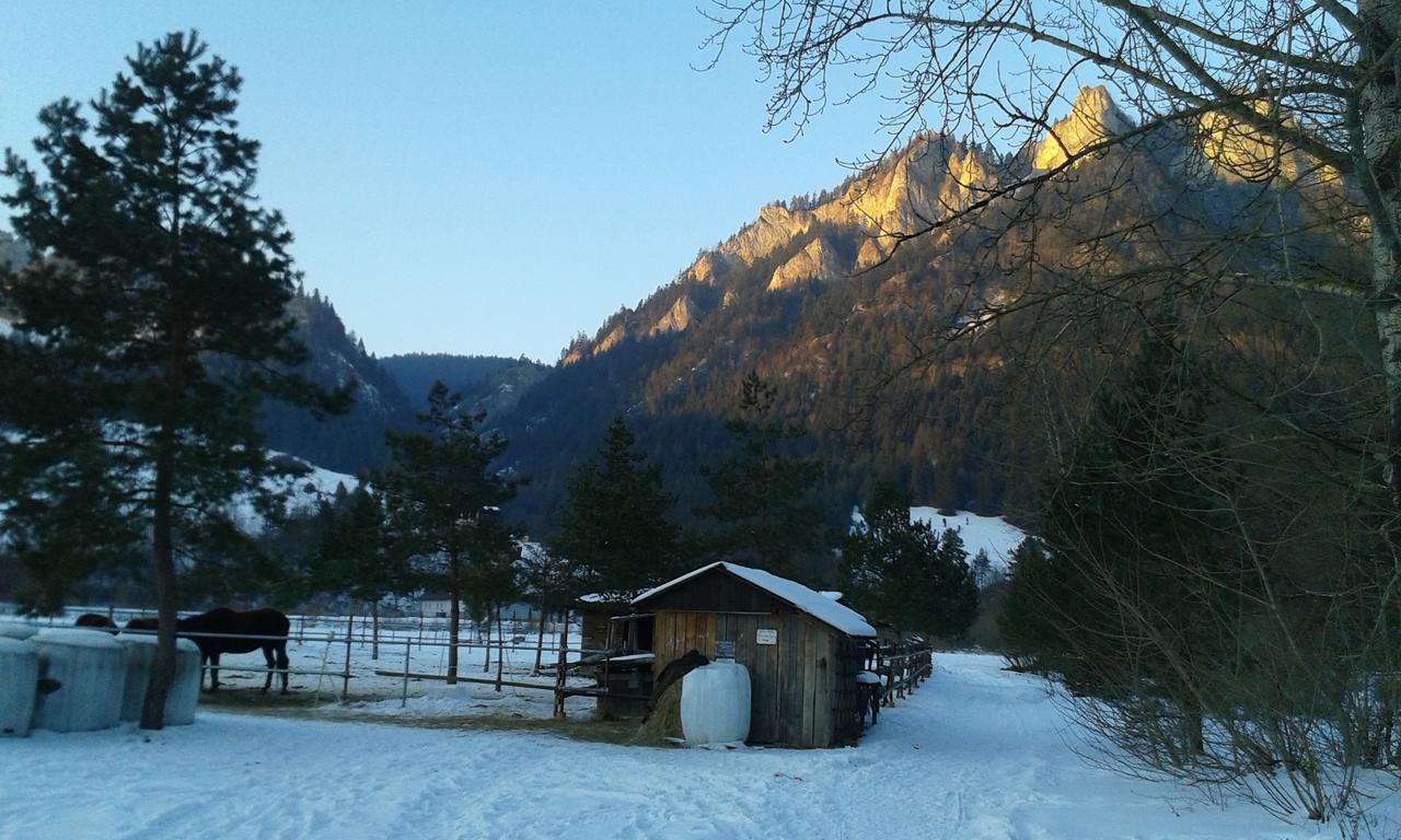 Ubytovanie Sokolica Červený Kláštor Esterno foto