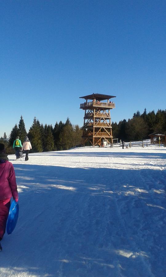 Ubytovanie Sokolica Červený Kláštor Esterno foto